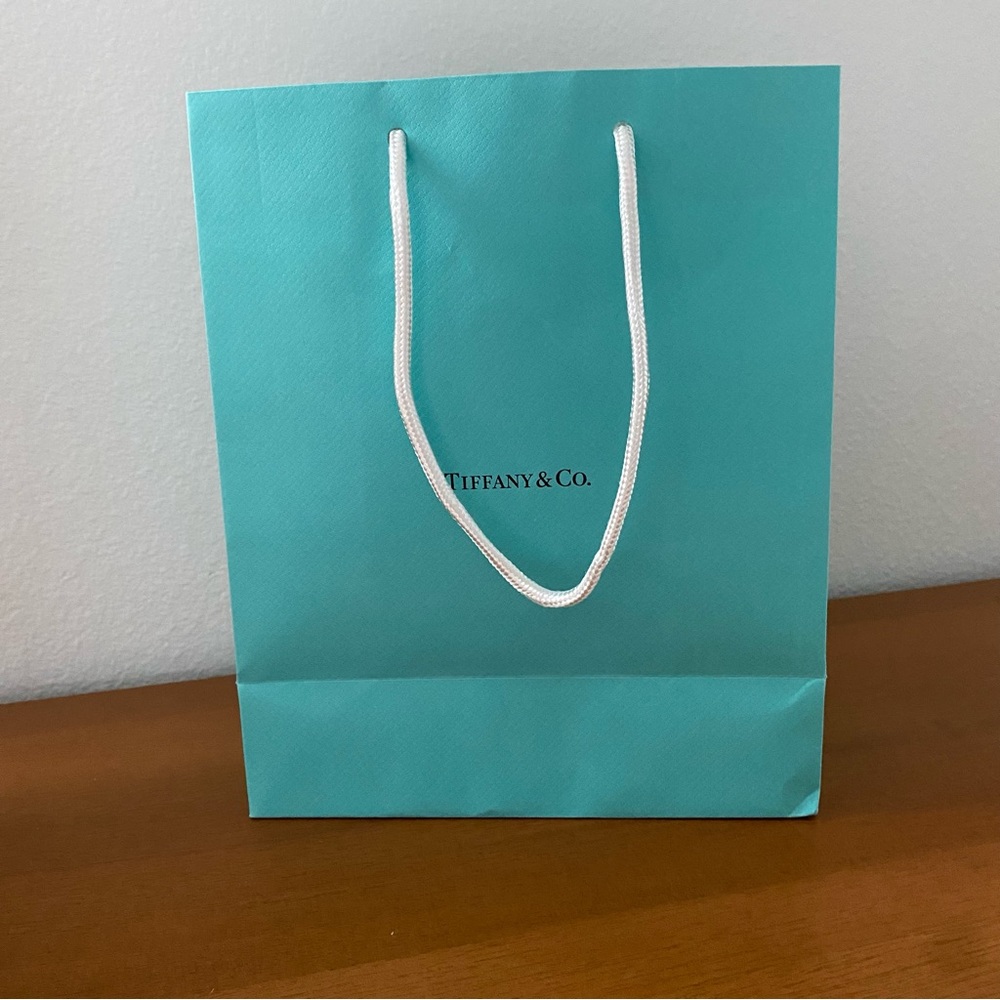 Big Tiffany & Co Bag (No box or jewlery)